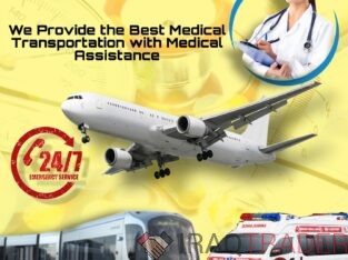 Panchmukhi Air and Train Ambulance in Patna with Perfect Medical Amenities