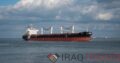 Yang Ming Pioneers Sustainable Shipping with 15,500 TEU LNG Dual Fuel Vessels