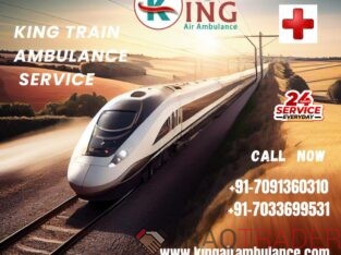 King Train Ambulance in Service Delhi