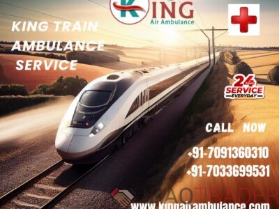 King Train Ambulance in Service Delhi