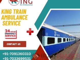 Utilize Train Ambulance Service in Patna by King with world – class Ventilator support