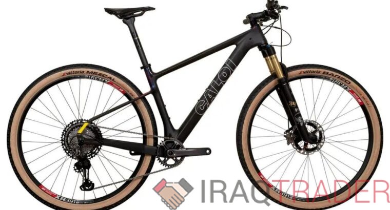 2025 Caloi ELITE CARBON TEAM Mountain Bike (GUN2BIKESHOP)